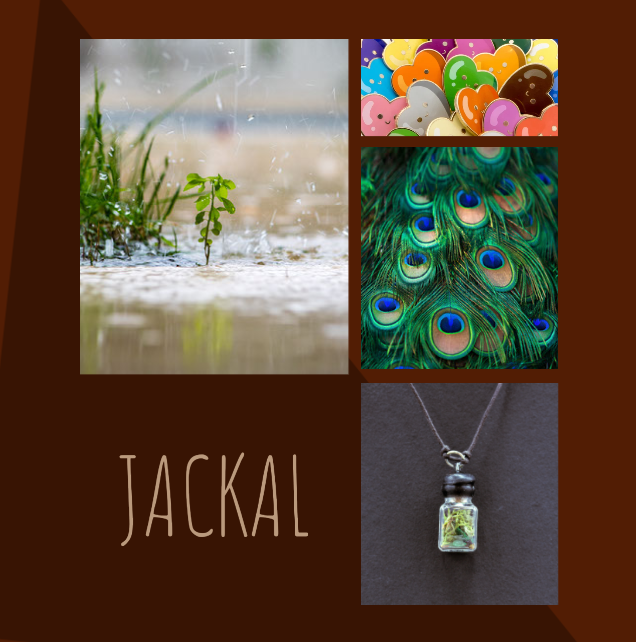 jackal moodboard: colourful heart-shaped pins, rain falling on a small green plant, peacock feathers, an amulet made from a small glass bottle