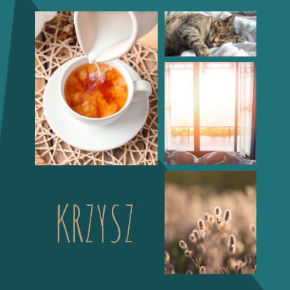 krzysz moodboard: tea, cats, blankets, sunlight