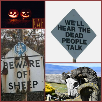 rae moodboard: a pumpkin, a sheep skull, signs saying -beware of the sheep- and -we'll hear the dead people talk-