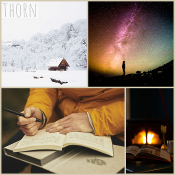 thorn moodboard: snow, firesides and books