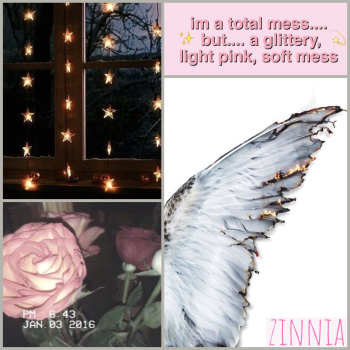 zinnia moodboard: a white bird wing with flames at the edges, roses, fairy lights, -i'm a total mess, but a glittery light pink soft mess'